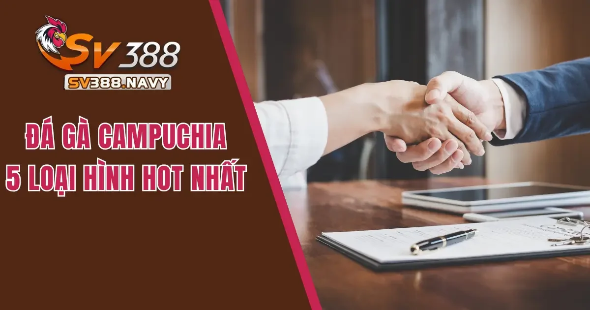 Đá Gà Campuchia Và 5 Loại Hình Thi Đấu Hot Nhất 2025 4 Đá gà Campuchia